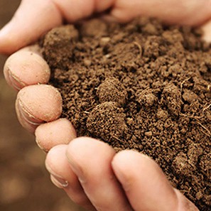 Orientação para a coleta de amostras de solo